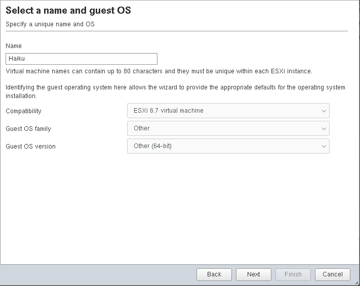 Select a name and guest OS