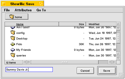 File Save Panel